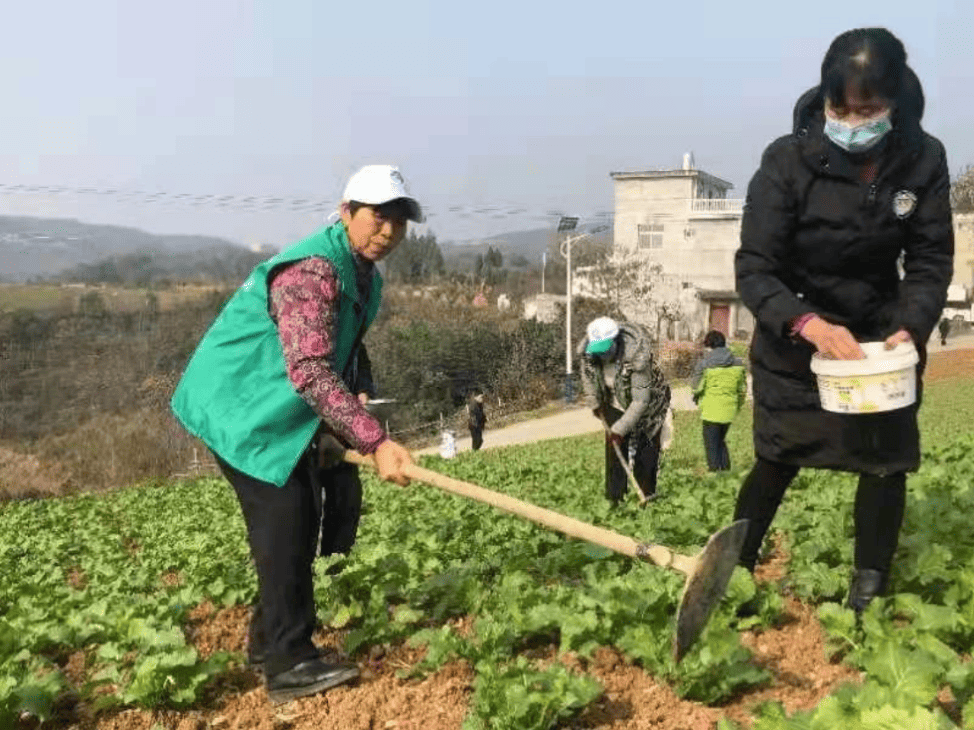 项目动态|【国祯致良田】守护土壤健康公益行动在陕西安康市汉滨区关庙镇启动