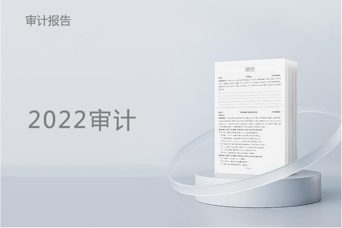 2022年度审计报告