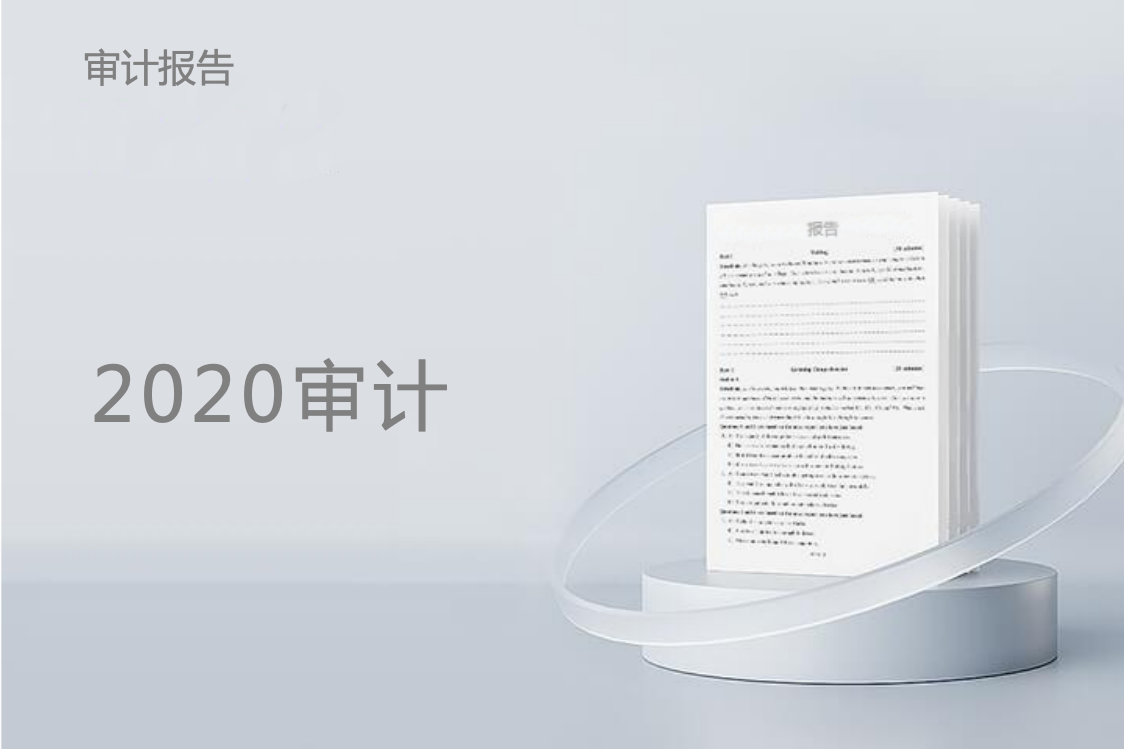 2020年度审计报告